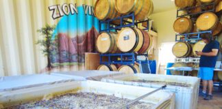 Welcome to Utah Wine Country at Zion Vineyards Zion Vineyards in Leeds, Utah, welcomes wine lovers from around the world to experience award-winning reds and whites. With international recognition, a passionate team, and a beautiful tasting room, the vineyard continues to shape Southern Utah’s growing wine country.