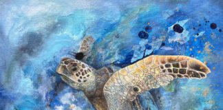 New Shows at Kolob Gallery New Shows at Kolob Gallery