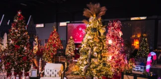 Jubilee of Trees Returns to Support Cardiovascular Care at St. George Regional Jubilee of Trees returns November 19–22 with handcrafted holiday displays, a silent auction, and a gala, supporting cardiovascular care at St. George Regional Hospital.Snippet: The 42nd annual Jubilee of Trees opens November 19–22 at the Dixie Convention Center, raising funds for a new hybrid operating room to enhance cardiovascular care at St. George Regional Hospital.