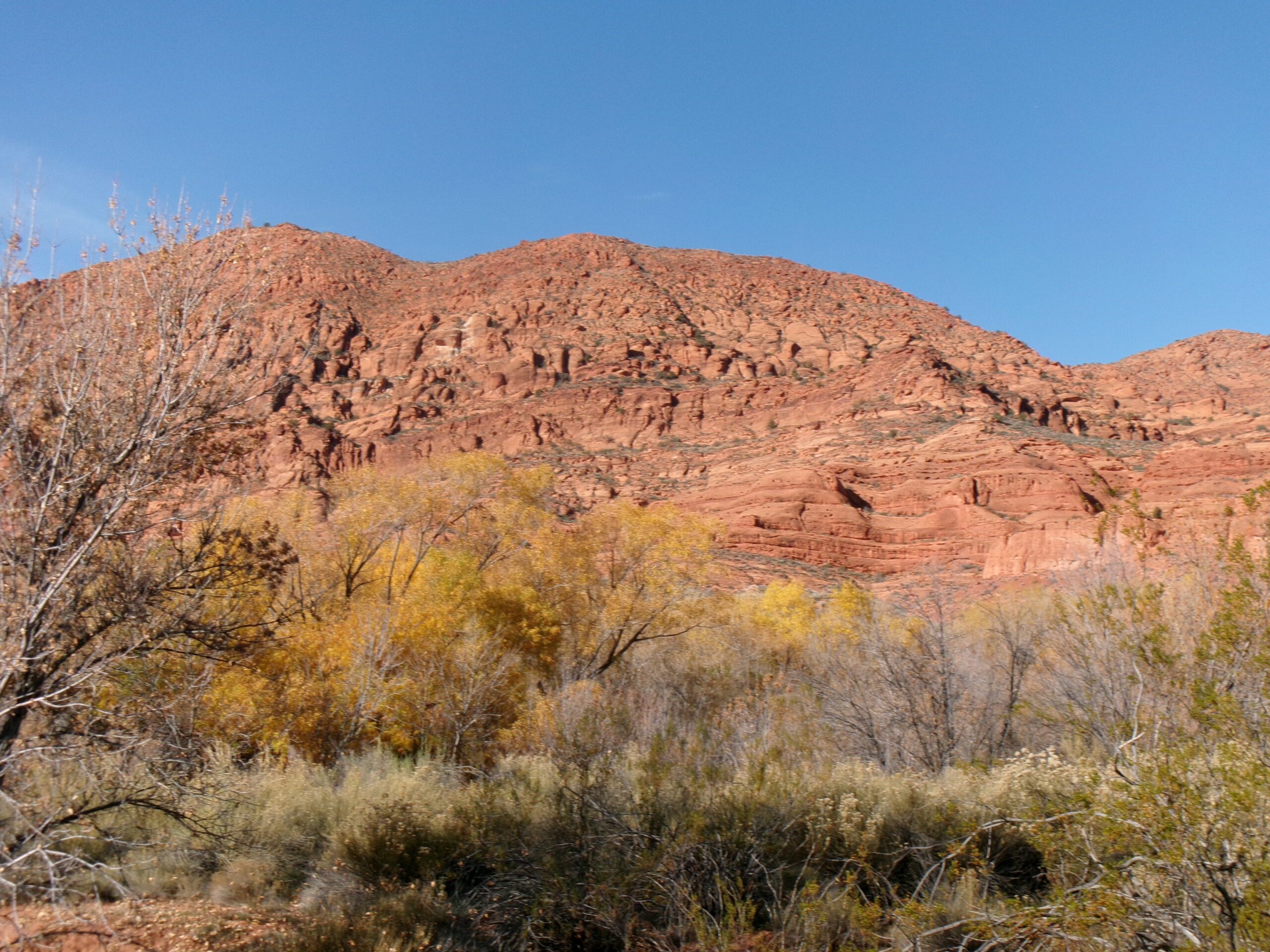 View to the north on Quail Creek Trail, Red Cliffs Desert Reserve - Photo by Tom Garrison