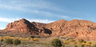 Quail Creek Trail in the Red Cliffs Desert Reserve View to the west on Quail Creek Trail, Red Cliffs Desert Reserve - Photo by Tom Garrison
