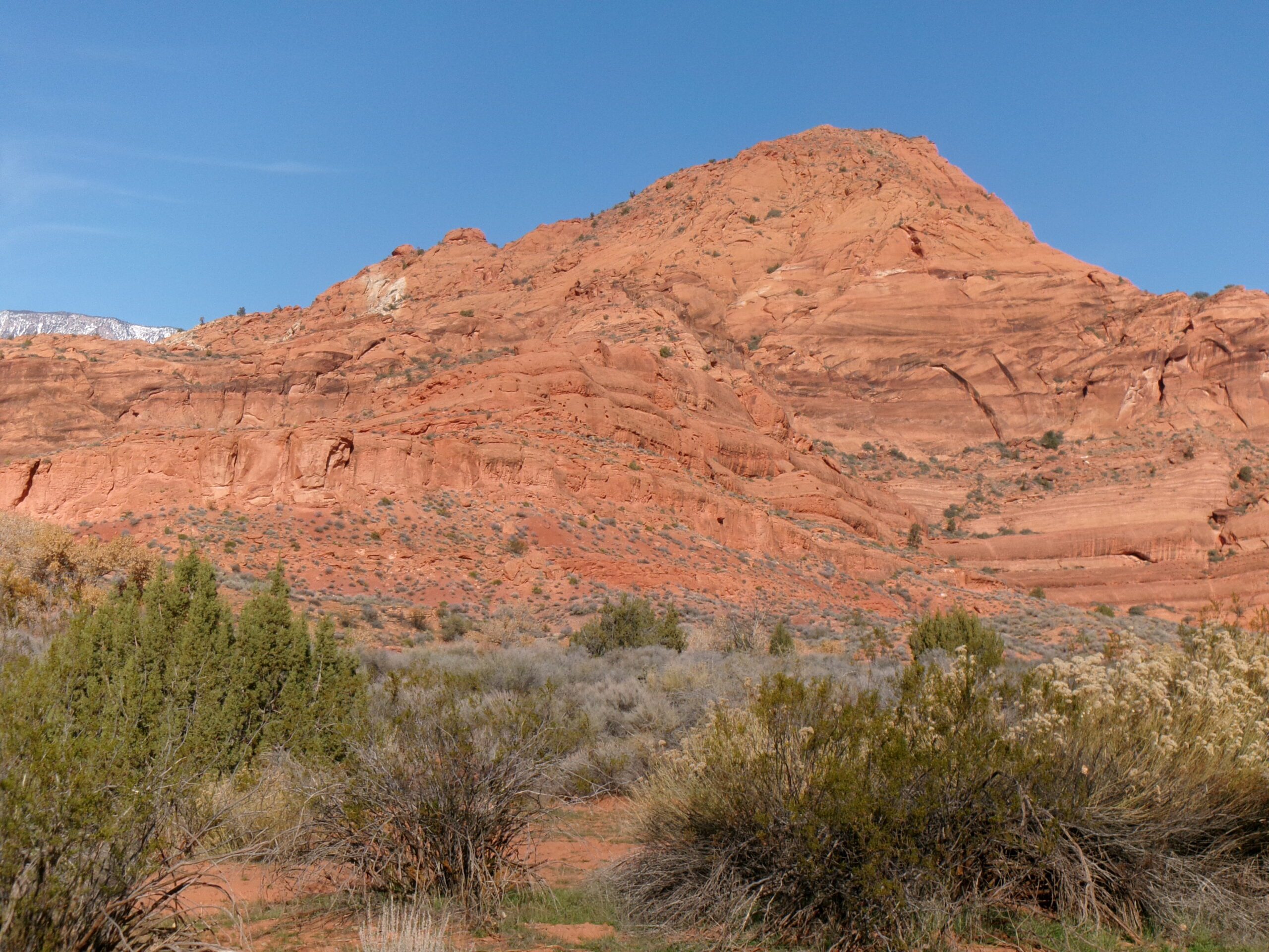 View to the north on Quail Creek Trail, Red Cliffs Desert Reserve - Photo by Tom Garrison