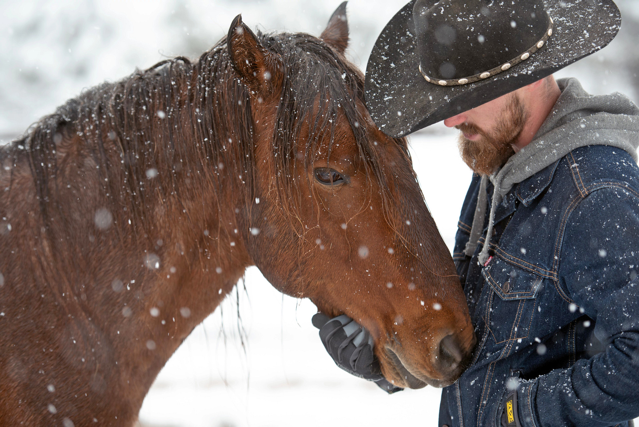 Winter in Kanab offers quiet beauty, warm memories, and meaningful time with animals at Best Friends Animal Sanctuary and the Best Friends Roadhouse & Mercantile.