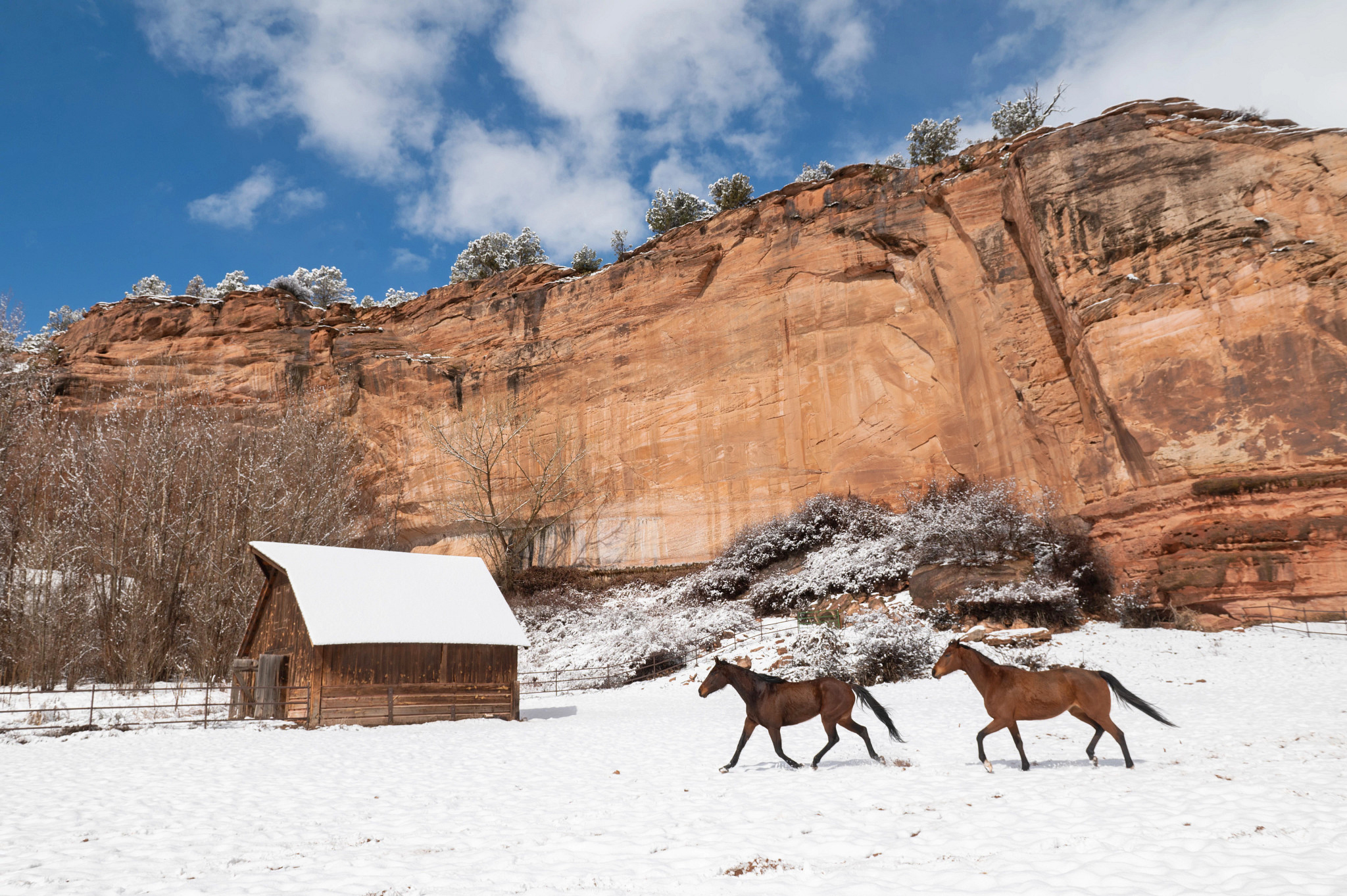 Winter in Kanab offers quiet beauty, warm memories, and meaningful time with animals at Best Friends Animal Sanctuary and the Best Friends Roadhouse & Mercantile.