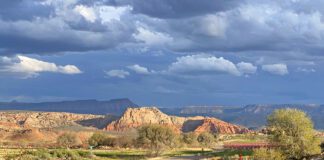 Welcome to Utah Wine Country at Zion Vineyards Zion Vineyards, Utah wine country, Leeds Utah, wine tasting, holiday gifts, Southern Utah wineries