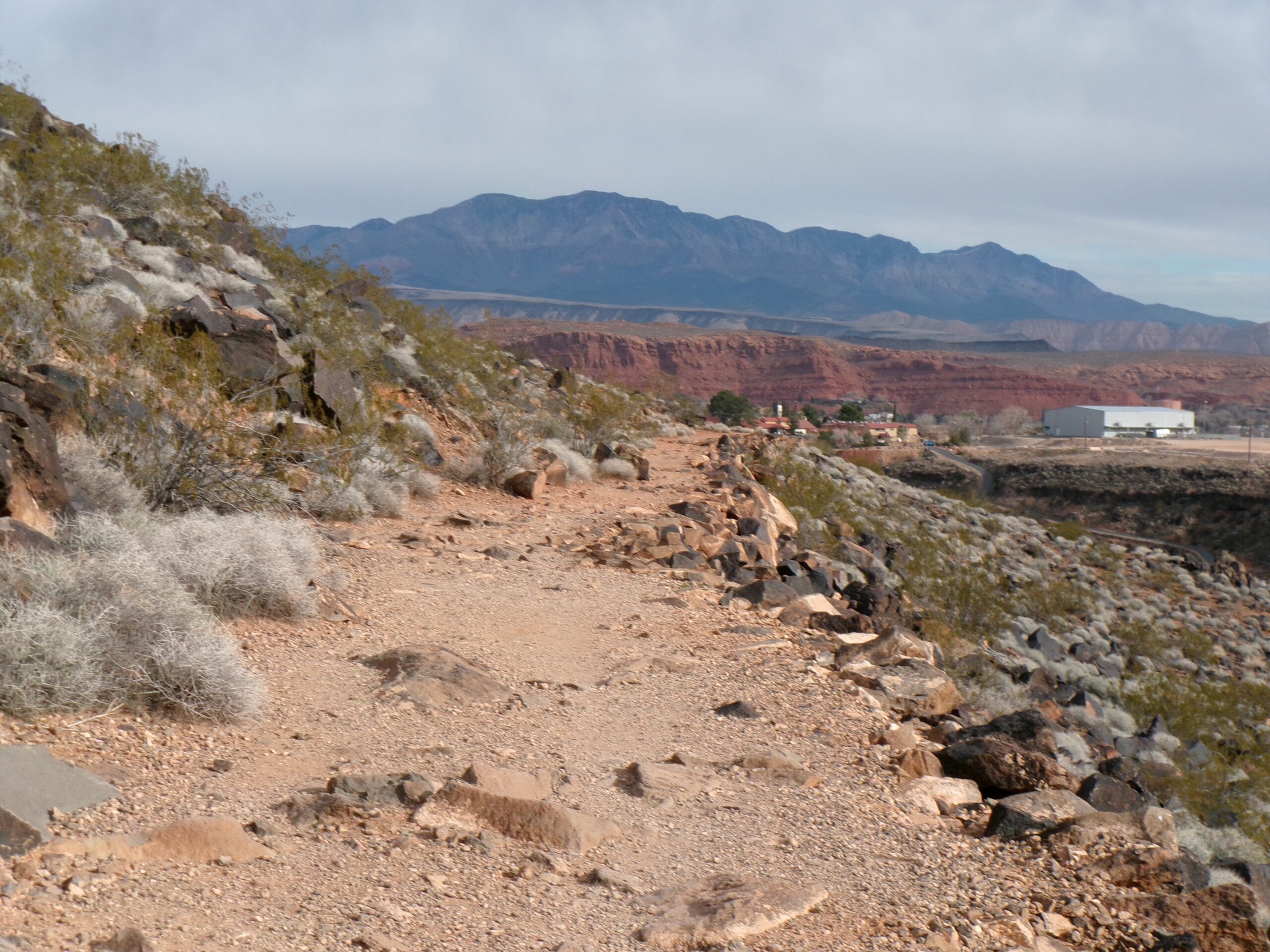 Eastern slope of Black Hill looking north toward Pine Valley Mountains, Temple Quarry Trail, January 2026--Photo byTom Garrison