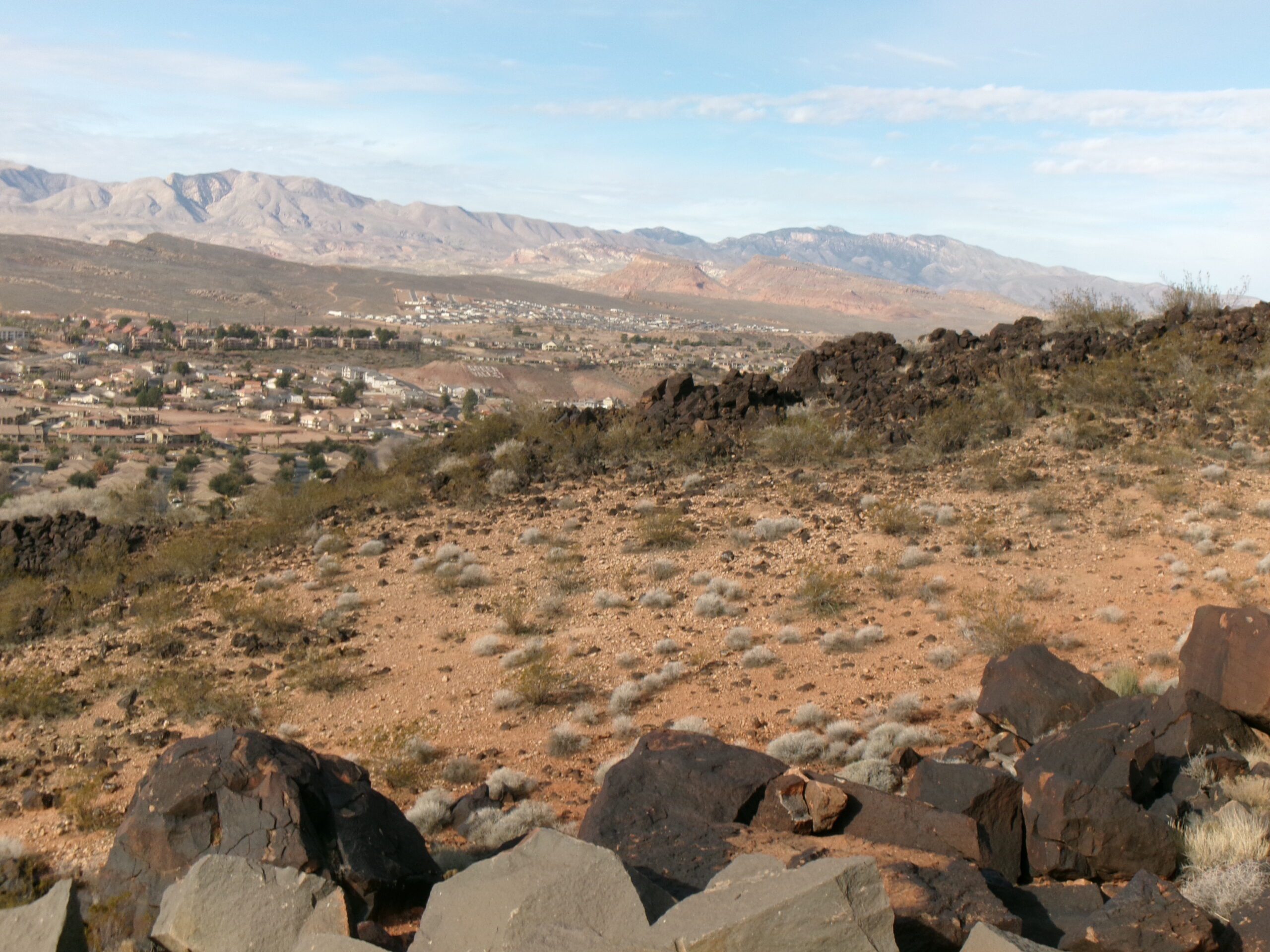 View from western slope of Black Hill, Temple Quarry Trail, January 2026--Photo by Tom Garrison