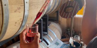 January in the Cellar at Zion Vineyard: Barrel Aging and Bottling Season