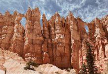 Editor’s Letter — January Letter from the Editor