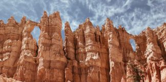 Editor’s Letter — January Letter from the Editor