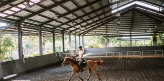 Dixie Classic Barrel Racing Kicks Off January with Jackpot Events in Hurricane Compete or watch the Dixie Classic barrel racing jackpot events in Hurricane this January. Indoor competitions are set for Jan. 10 and Jan. 24 at Washington County Legacy Park.