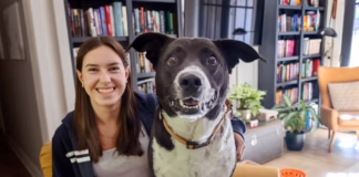 Best Friends Animal Society Teams Up With Puppy Bowl XXII to Help Pets Find Homes