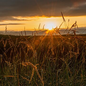 Southern Utah Art Guild February events