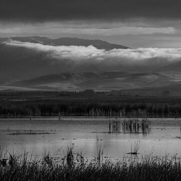 Southern Utah Art Guild Connects Artists and Community Through February Exhibits