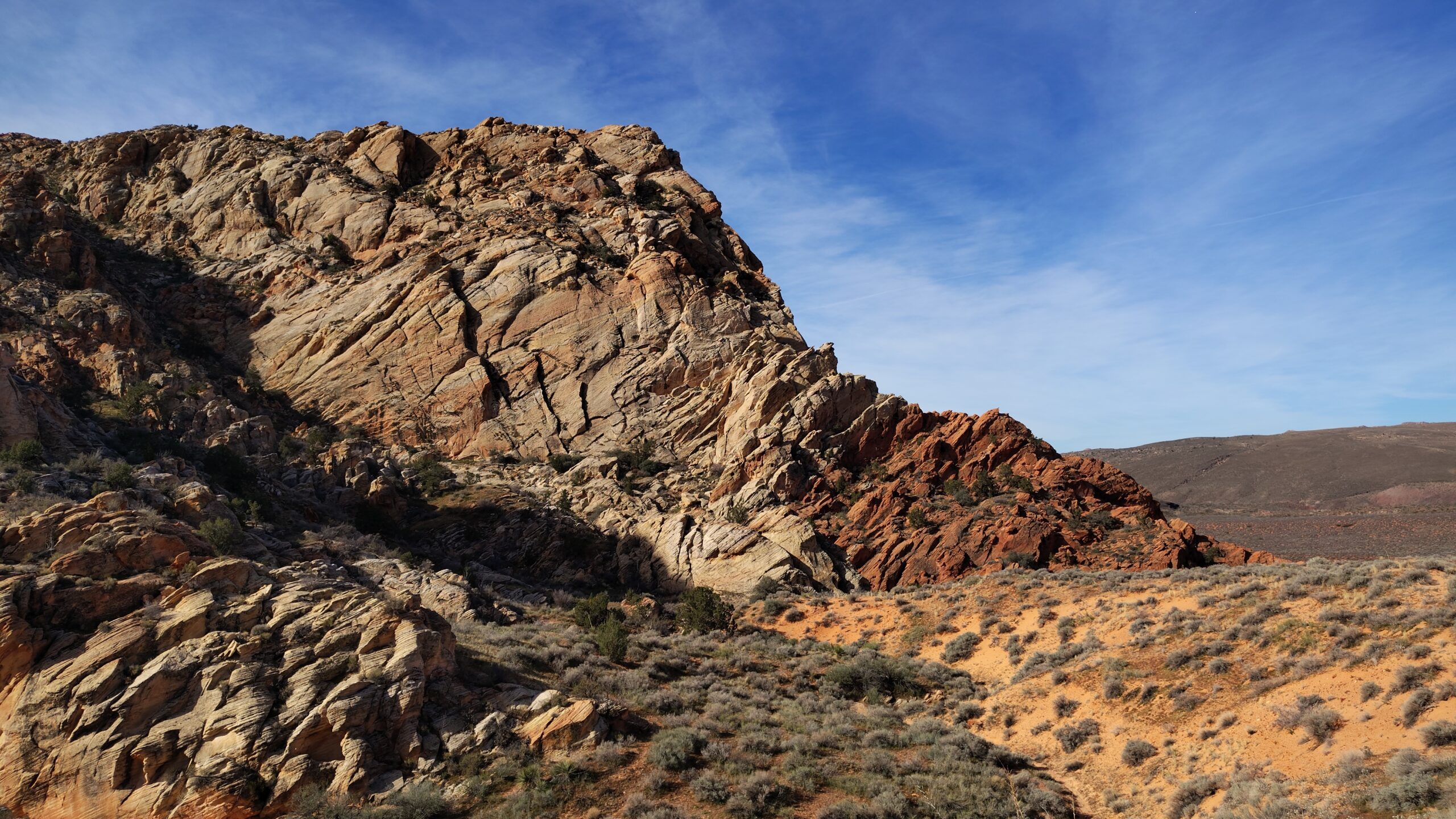 1000002834 - A section of Sandstone Mountain, Sandstone Mountain Trail, February 2026 - Photo by Tom Garrison