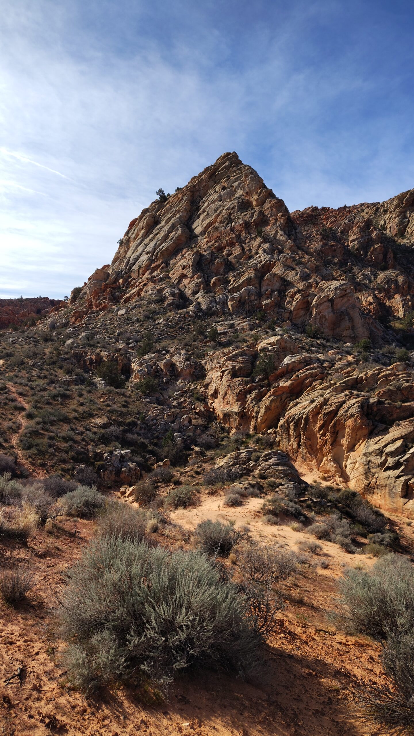 A section of Sandstone Mountain, Sandstone Mountain Trail, February 2026 - Photo by Tom Garrison