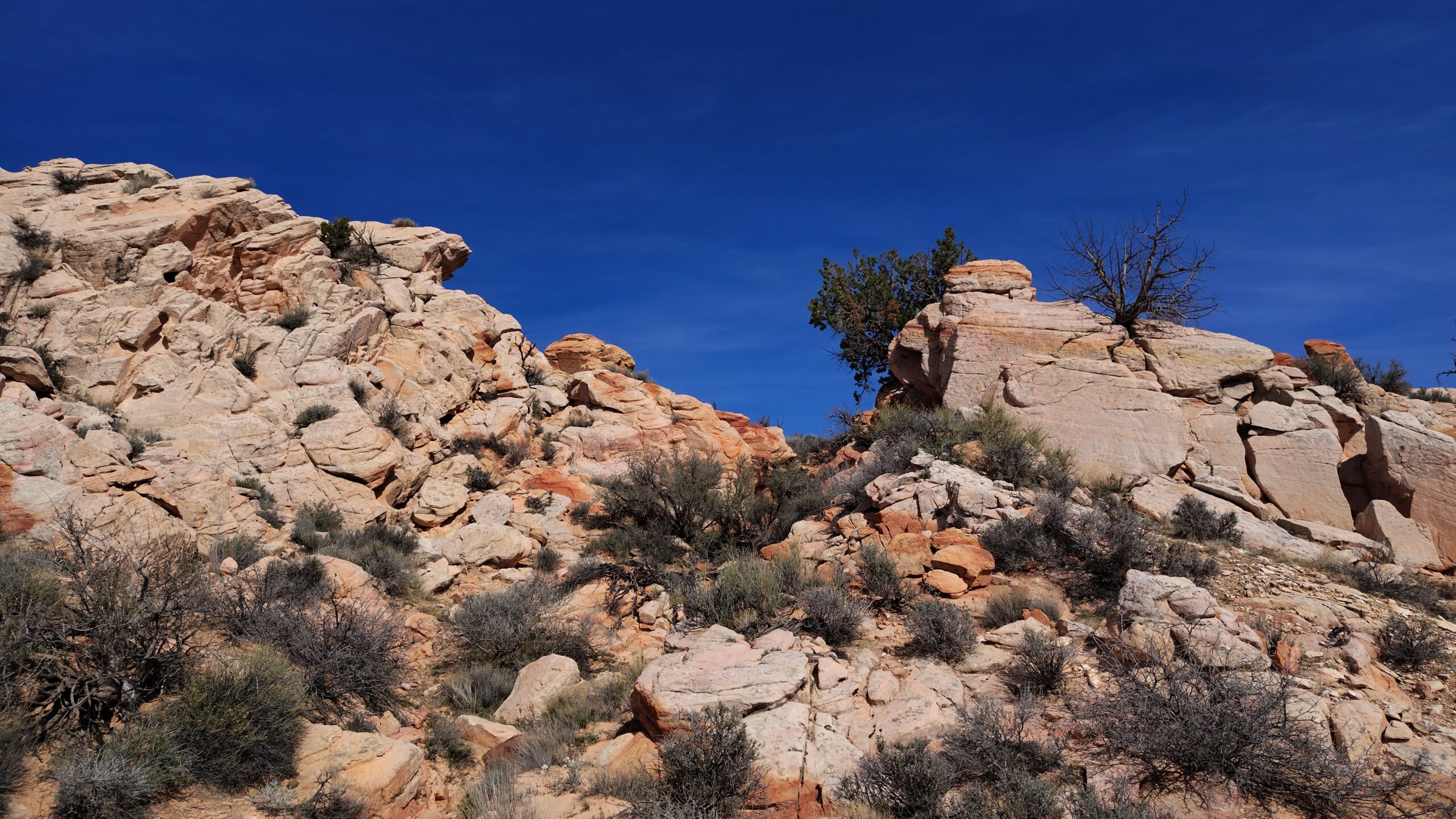1000002842 - A rock pile at the Sandstone Mountain saddle, Sandstone Mountain Trail, February 2026 - Photo by Tom Garrison