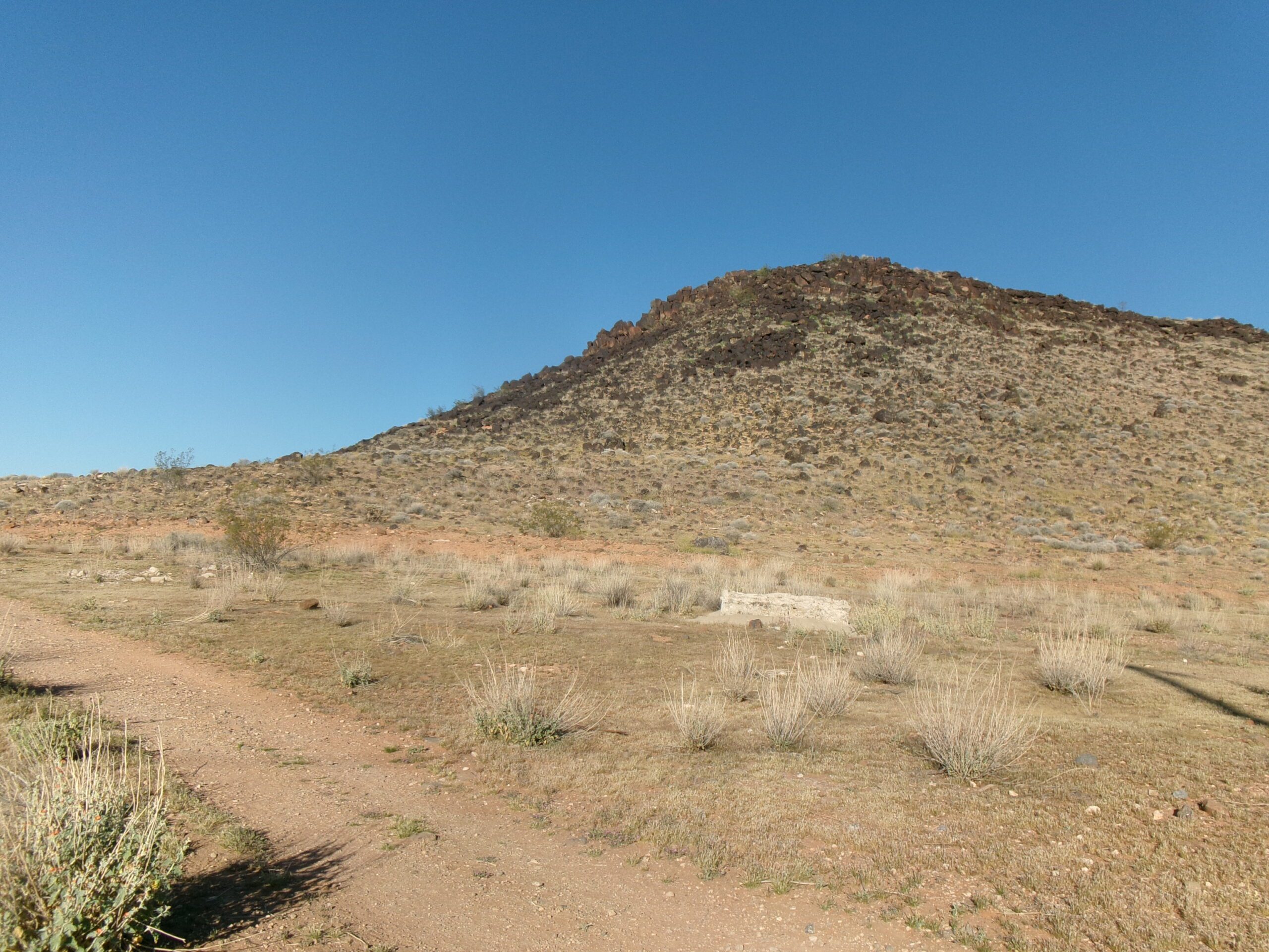View to the west and T-Bone Hill, T-Bone Trail, Red Cliffs Desert Reserve, March 2026 - Photo by Tom Garrison