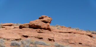 T-Bone Trail in the Red Cliffs Desert Reserve
