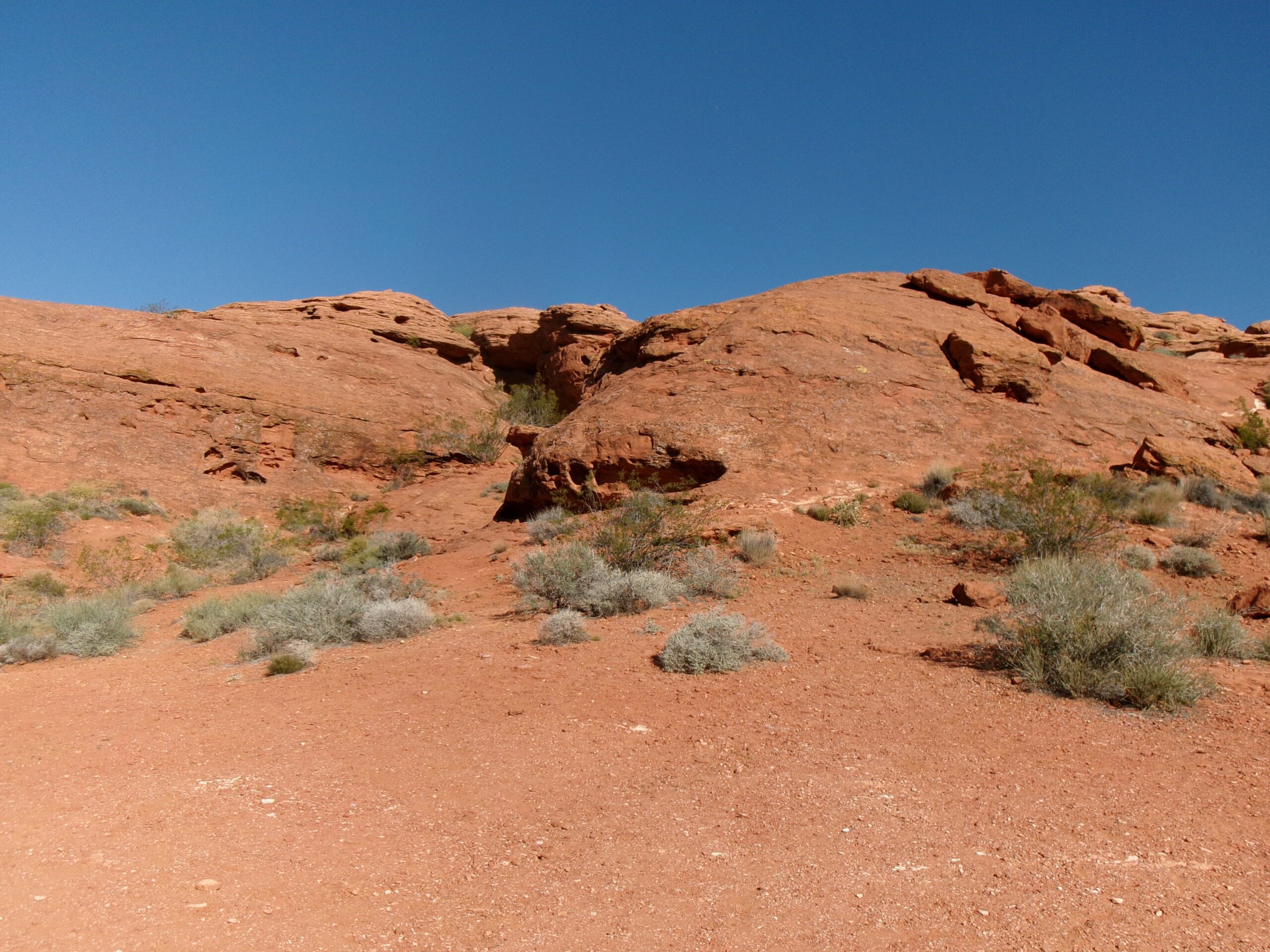 Red sandstone formation in Pioneer Park, T-Bone Trail, Red Cliffs Desert Reserve, March 2026 - Photo by Tom Garrison