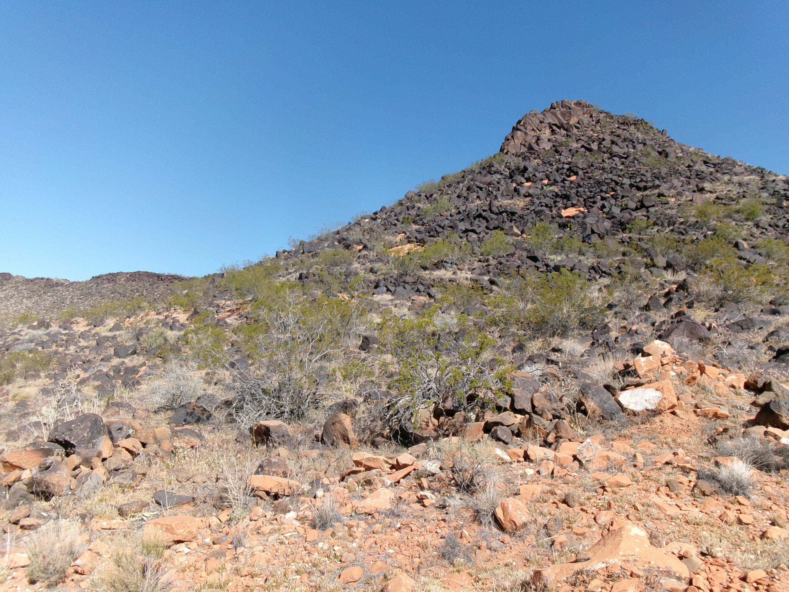 View to the north of T-Bone Hill, T-Bone Trail, Red Cliffs Desert Reserve, March 2026 - Photo by Tom Garrison