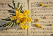 Southern Utah Events Guide – March 5, 2026