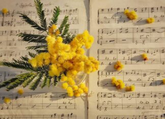 Southern Utah Events Guide – March 5, 2026