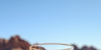 Who Has the Best-Tasting Water in Utah? Statewide Contest Aims to Find Out