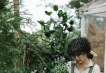 KAAP Seeks Plant Donations for “Root It for Paws” Fundraiser The Kanab Animal Assistance Program hosts its “Root It for Paws” plant sale fundraiser May 16, 2026, at Kanab City Park North Pavilion.