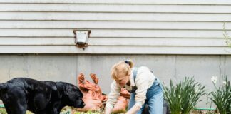 KAAP Seeks Plant Donations for “Root It for Paws” Fundraiser The Kanab Animal Assistance Program hosts its “Root It for Paws” plant sale fundraiser May 16, 2026, at Kanab City Park North Pavilion.