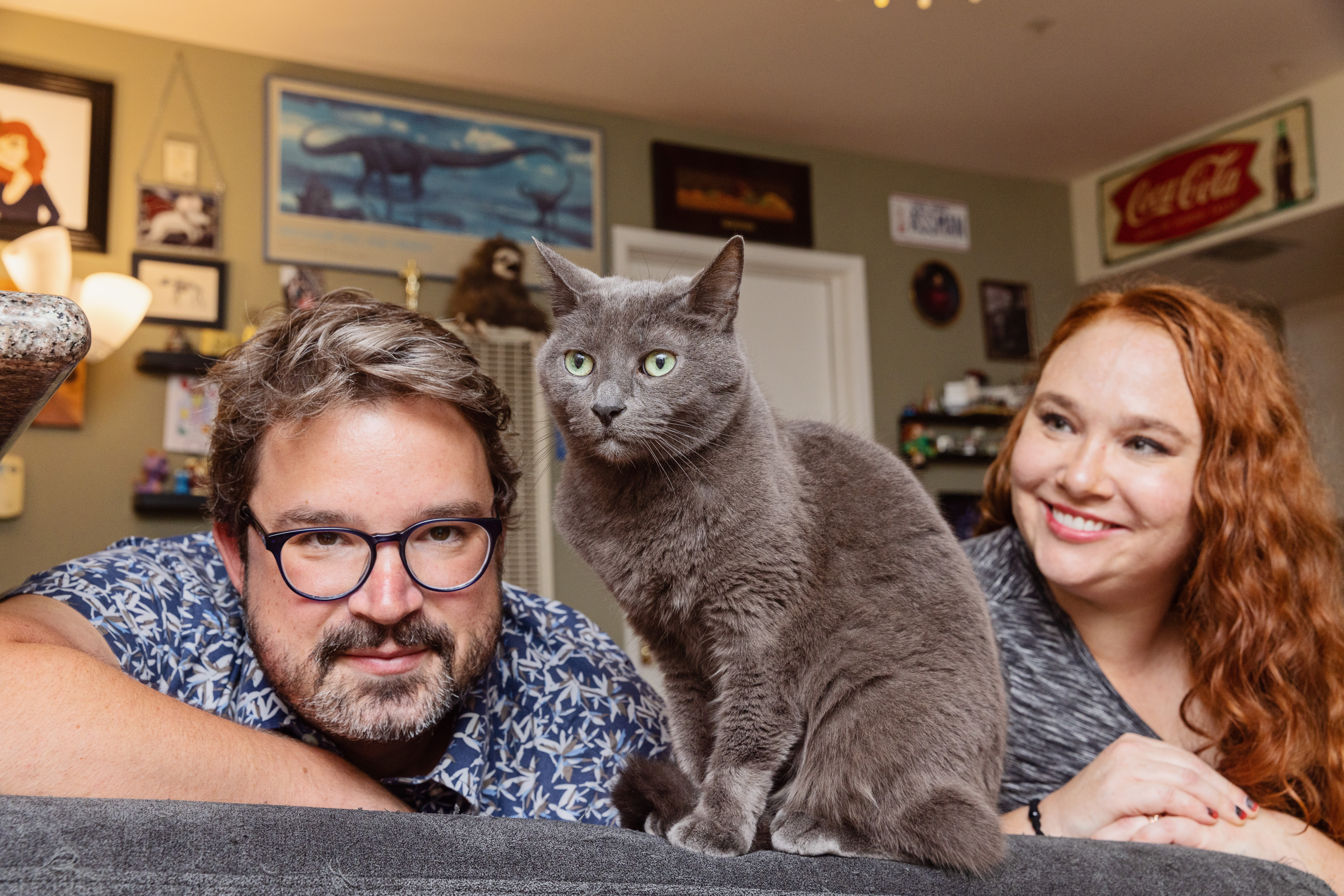 New data from Best Friends Animal Society shows the number of cats killed in U.S. shelters has dropped nearly 75 percent over the past decade.