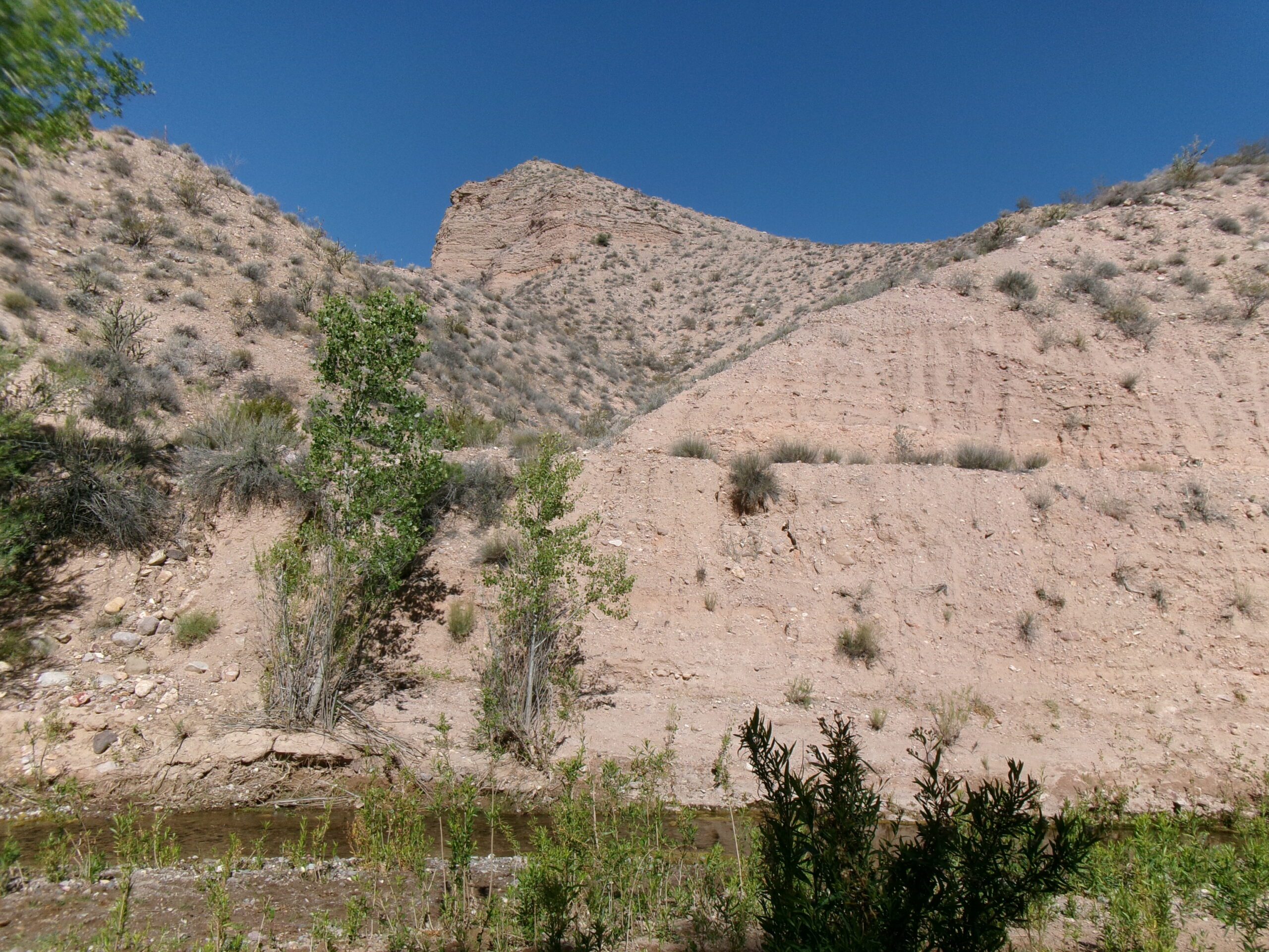 View-along-Beaver-Dam-Wash-Lytle-Nature-Preserve-April-2026.-Photo-by-Tom-Garrison