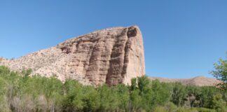 Lytle Nature Preserve: A Desert Oasis View-along-Beaver-Dam-Wash-Lytle-Nature-Preserve-April-2026.-Photo-by-Tom-Garrison