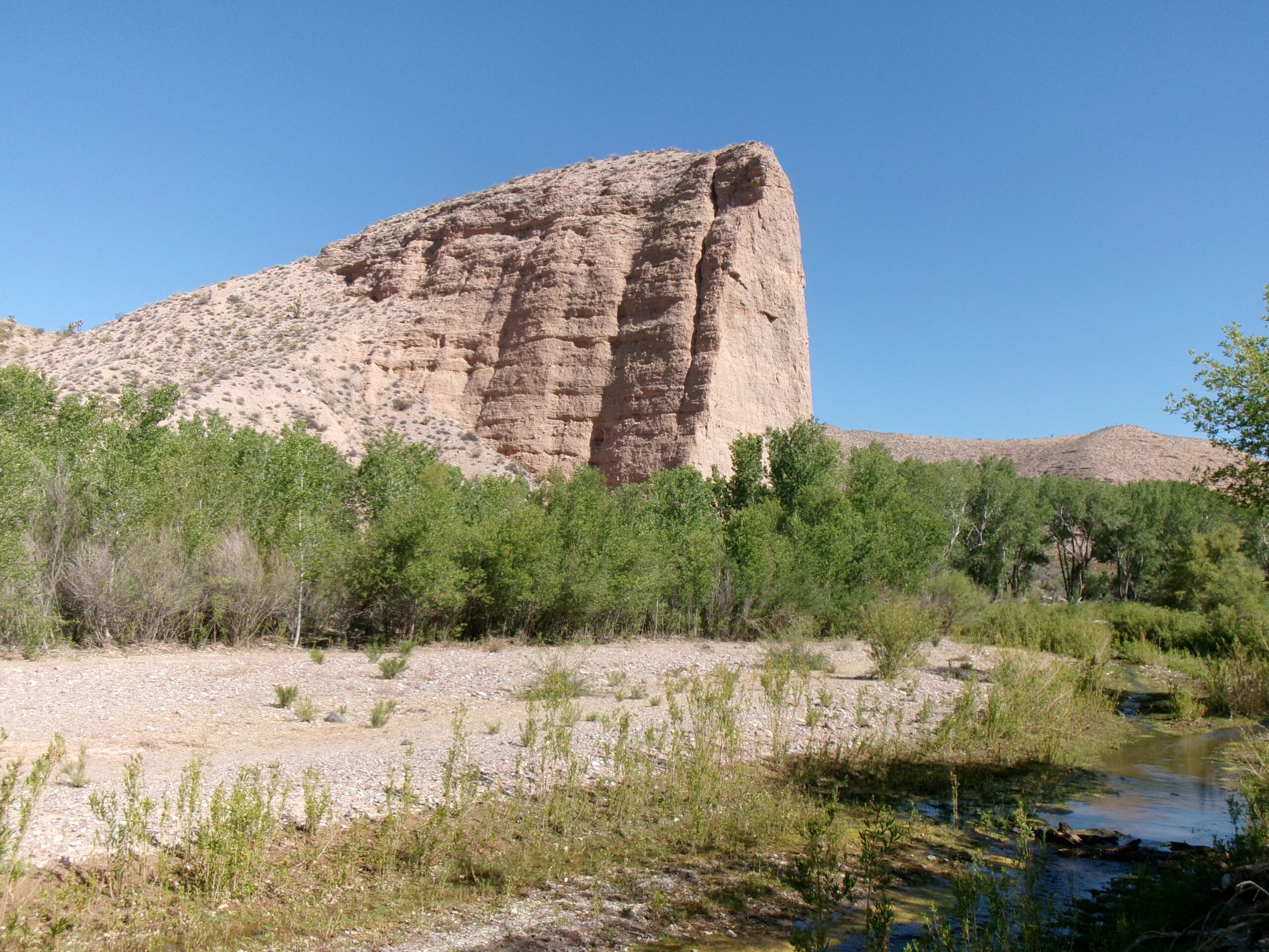 View-along-Beaver-Dam-Wash-Lytle-Nature-Preserve-April-2026.-Photo-by-Tom-Garrison