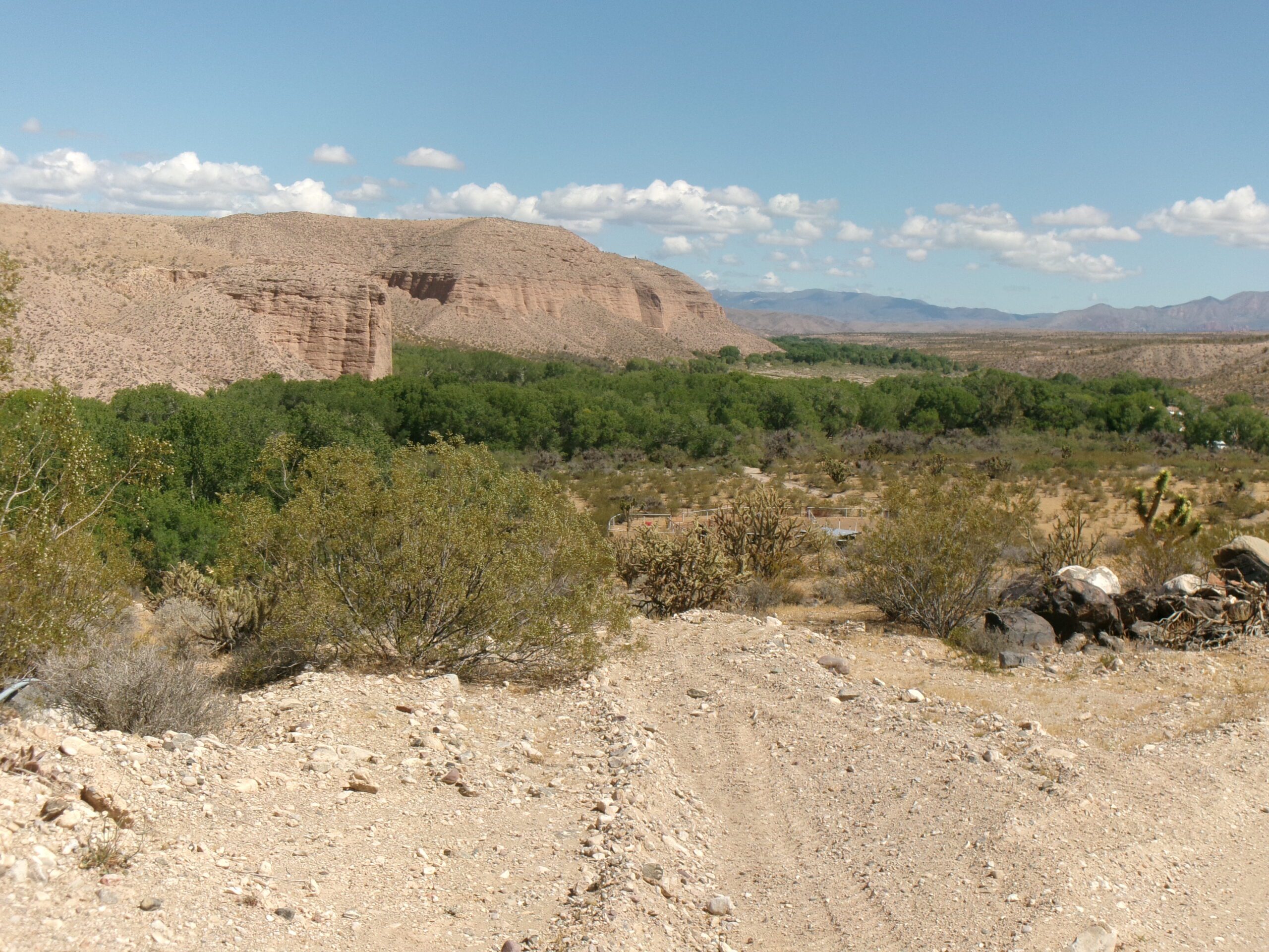 View of Preserve from last hill until reaching the Preserve, Lytle Nature Preserve, April 2026. Photo by Tom Garrison