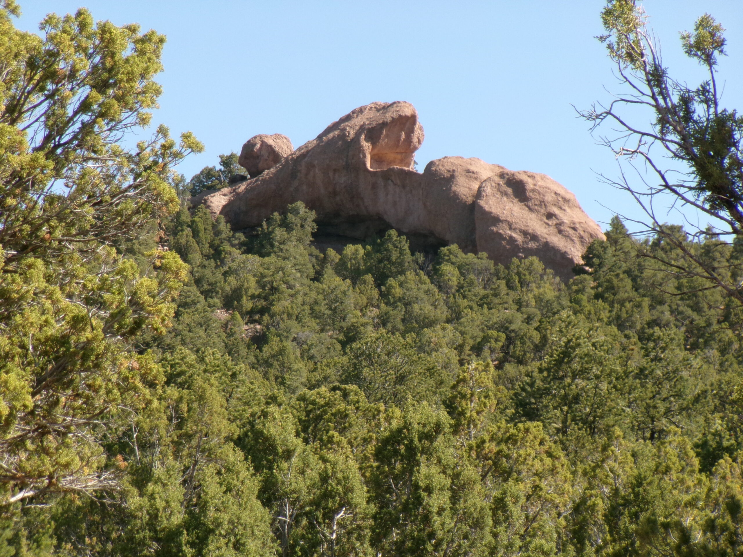  View of Lion_s Mouth Cave from Pinto Road about a quarter mile past the traailhead, May 2026 - Photo by Tom Garrison.