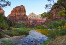 Memorial Day Crowds Return to Zion National Park as Summer Season Begins