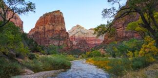 Memorial Day Crowds Return to Zion National Park as Summer Season Begins
