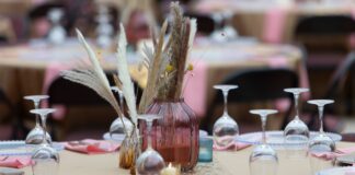 Elegant West Gala Brings Art, Fashion, and Community Together at St. George Museum of Art
