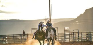 The Catori Canyon Heritage PRCA Rodeo Returns to Kanab in 2026 The Catori Canyon Heritage PRCA Rodeo returns to Kanab May 29–30, 2026, bringing world-class rodeo action, community spirit, and a growing Western tradition.