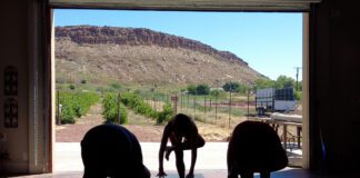 Wine Making Refined in Southern Utah