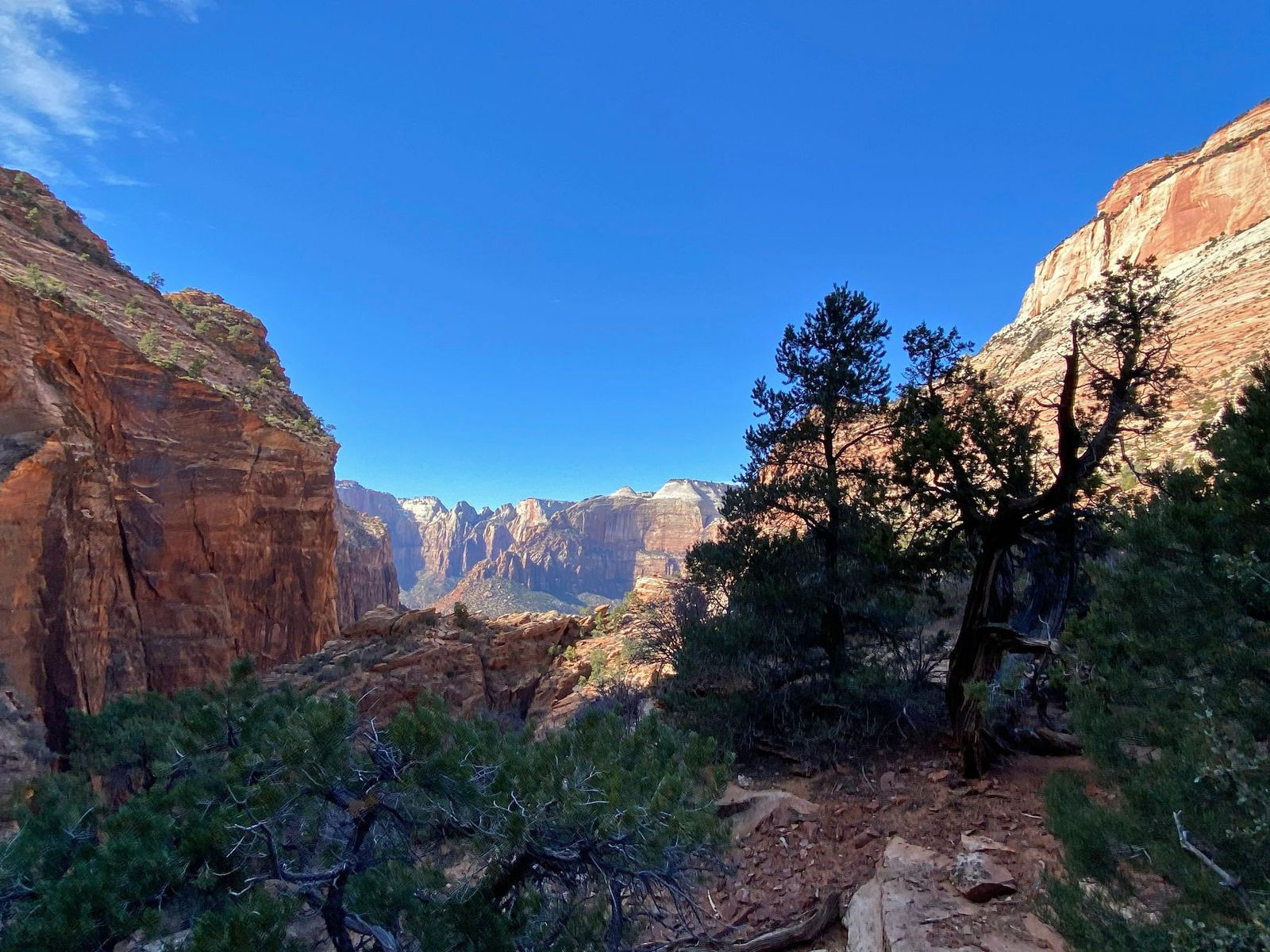 Canyon Overlook Trail remains one of Zion National Park’s best short hikes, offering sweeping canyon views, sandstone formations, and an easy-to-moderate adventure just east of the Zion-Mount Carmel Tunnel.