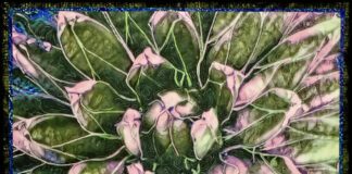 Southern Utah Art Guild Highlights June Exhibits