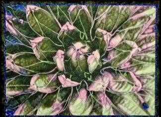 Southern Utah Art Guild Highlights June Exhibits