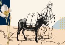 Old Spanish National Historic Trail Marker Unveiling in St. George