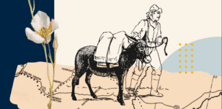 Old Spanish National Historic Trail Marker Unveiling in St. George