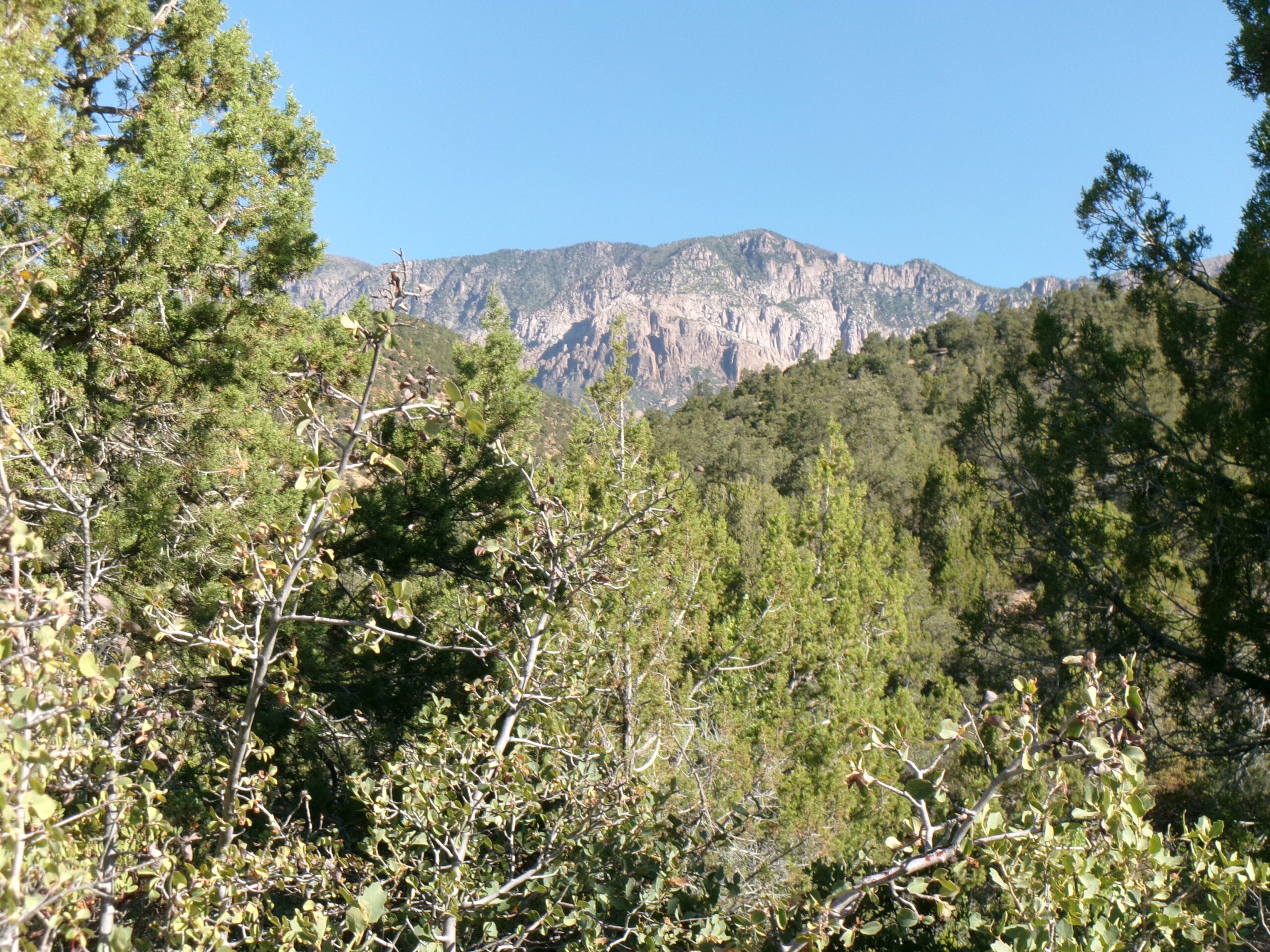  View from Leeds Creek Kiln Trail, Dixie National Forest, July 2026 - Photo by Tom Garrison