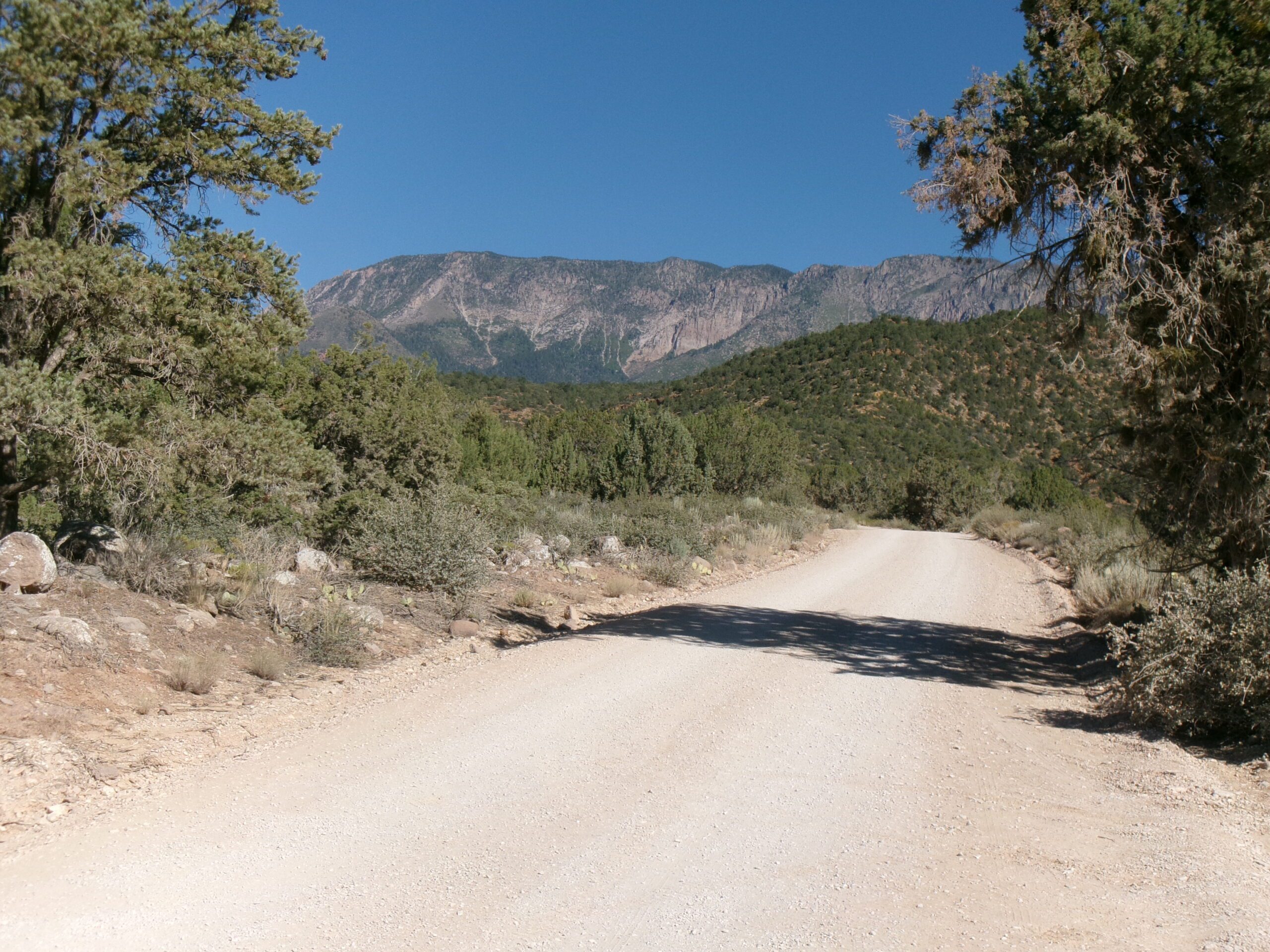 View from Forest Road 032, Leeds Creek Kiln Trail, Dixie National Forest, July 2026 - Photo by Tom Garrison