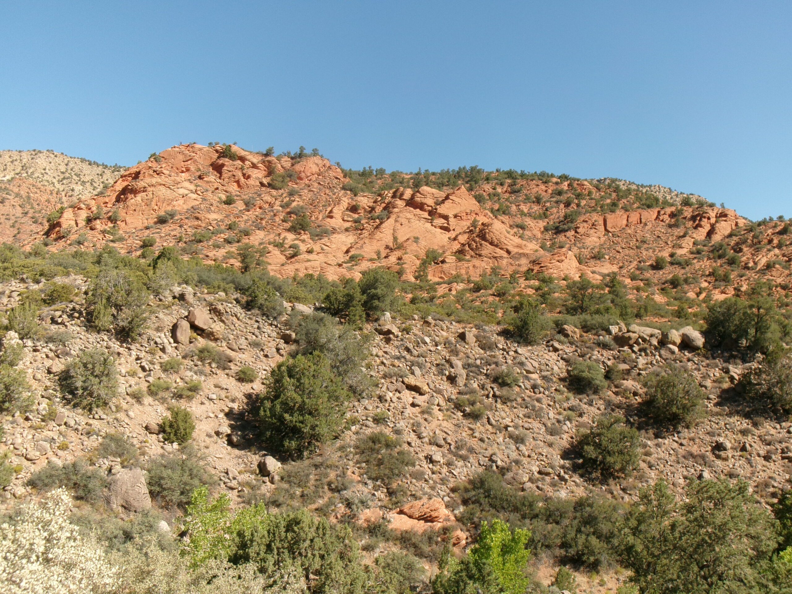 View from Forest Road 032, Leeds Creek Kiln Trail, Dixie National Forest, July 2026 - Photo by Tom Garrison