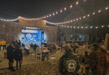 Woodshed Music Festival Returns to Willow Glen Resort